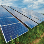 Why Solar Energy Is the Smartest Investment for Businesses in India